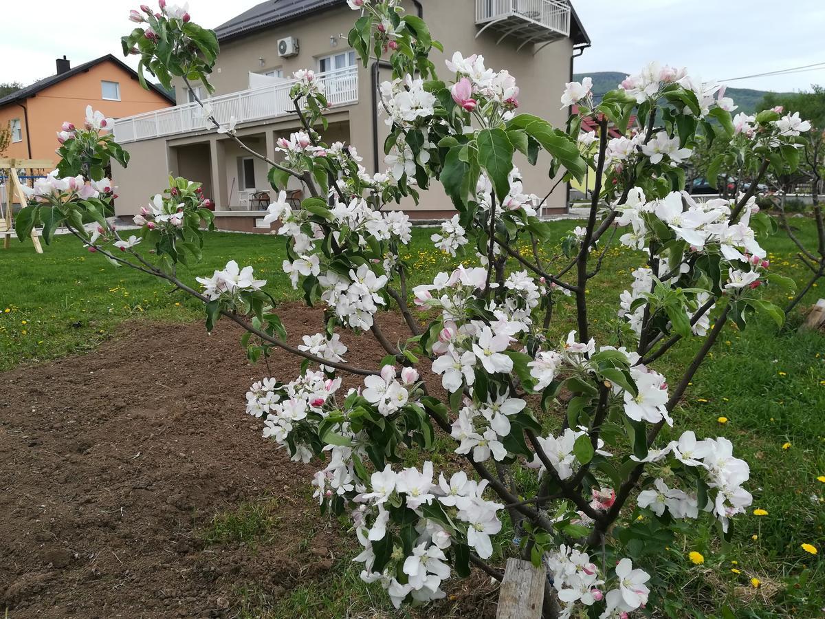 קורניצה Apartment And Rooms Aracic מראה חיצוני תמונה